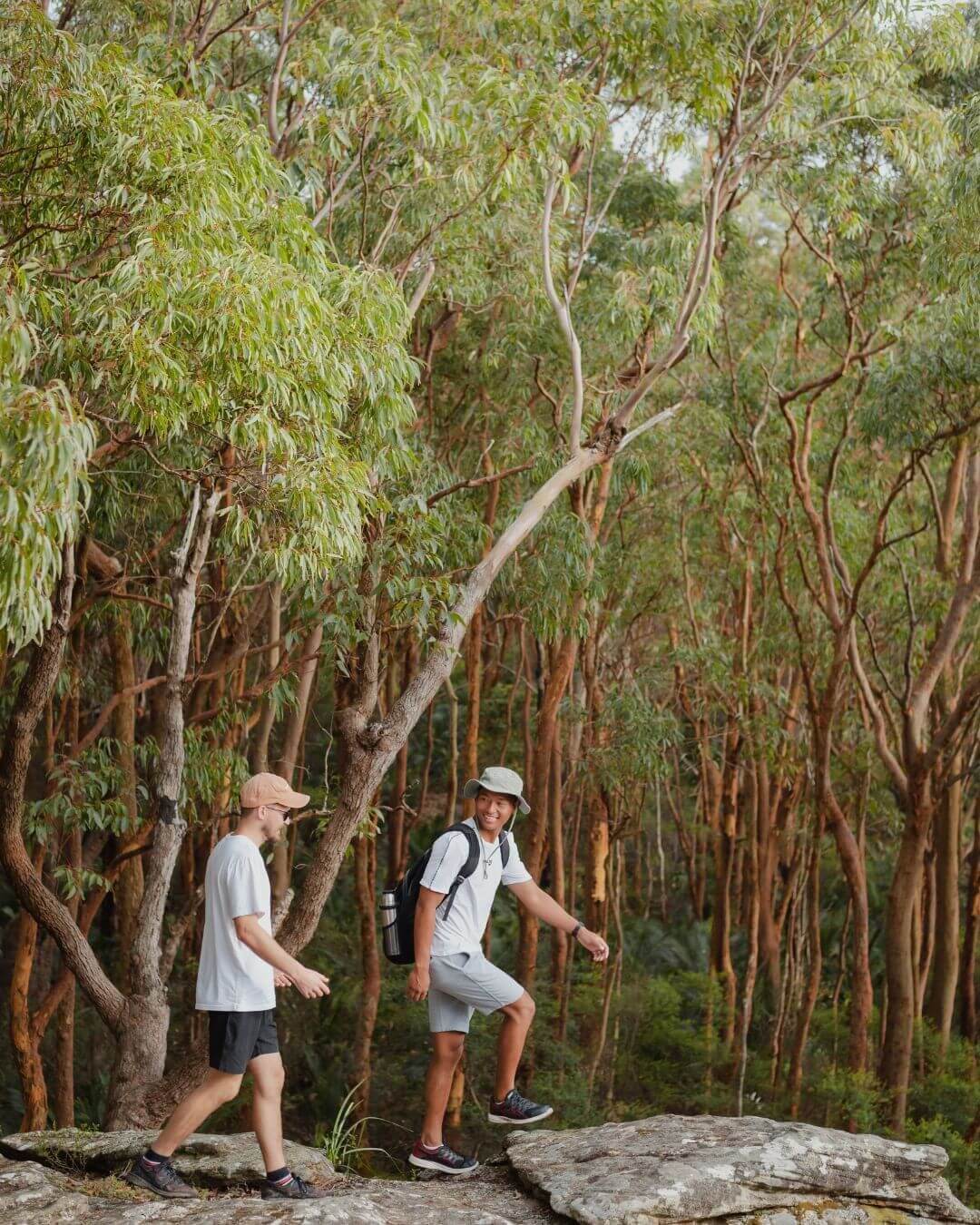 The best bushwalks to experience nature on the Central Coast News Love Central Coast